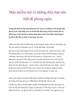 Máu nhiễm mỡ và những điều bạn nên biết để phòng ngừa docx