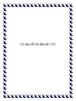 13 bài ca dao đề tài dặn dò pdf