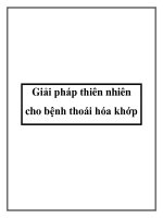 Giải pháp thiên nhiên cho bệnh thoái hóa khớp potx