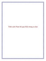 Tính cách Nam bộ qua biểu trưng ca dao pot