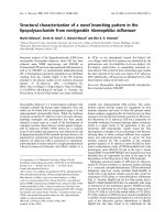 Báo cáo khoa học: Structural characterization of a novel branching pattern in the lipopolysaccharide from nontypeable Haemophilus inﬂuenzae pot