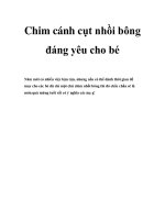 Chim cánh cụt nhồi bông đáng yêu cho bé docx