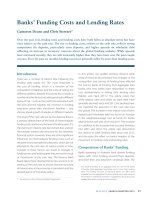 Banks’ Funding Costs and Lending Rates pdf