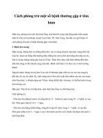 Cách phòng trừ một số bệnh thường gặp ở tôm hùm pot