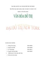 ĐỀ TÀI: VĂN HÓA ĐÔ THỊ - ĐẠI ĐÔ THỊ NEWYORK ppt