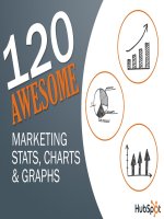 120 AWESOME: MARKETING STATS, CHARTS & GRAPHS doc