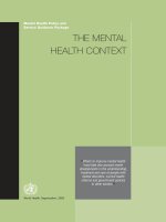 Mental Health Policy and Service Guidance Package: THE MENTAL HEALTH CONTEXT pdf
