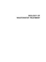Biology of wastewater treatment