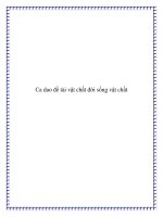 Ca dao đề tài vật chất đời sống vật chất pptx