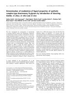 Báo cáo khóa học: Determination of modulation of ligand properties of synthetic complex-type biantennary N-glycans by introduction of bisecting GlcNAc in silico, in vitro and in vivo pot