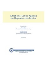 A National Latina Agenda for Reproductive Justice ppt