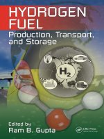 .HYDROGEN FUEL Production, Transport, and Storage doc