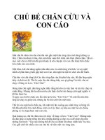 CHÚ BÉ CHĂN CỪU VÀ CON CÁO ppt