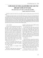 Chẩn đoán và phân loại mô bệnh học ung thư biểu mô tuyến cổ tử cung (theo phân loại của Tổ chức Y tế thế giới năm 2003) potx