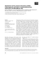 Báo cáo khoa học: Cholesterol and its anionic derivatives inhibit 5-lipoxygenase activation in polymorphonuclear leukocytes and MonoMac6 cells pot