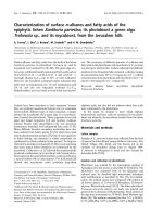 Báo cáo khoa học: Characterization of surface n -alkanes and fatty acids of the epiphytic lichen Xanthoria parietina, its photobiont a green alga Trebouxia sp., and its mycobiont, from the Jerusalem hills pot