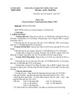 bao cao thang 5 pdf