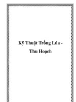 Kỹ Thuật Trồng Lúa Thu Hoạch pot
