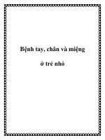 Bệnh tay, chân và miệng ở trẻ nhỏ pptx
