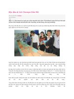 Độc đáo di tích Champa Cấm Mít potx