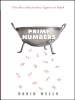 prime numbers - the most mysterious figures in math