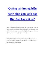 Quảng bá thương hiệu bằng hình ảnh lãnh đạo Độc đáo hay rủi ro? pot