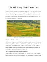 Lên Mù Cang Chải Thăm Lúa pptx