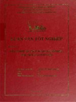 khóa luận tốt nghiệp đầu tư trực tiếp nước ngoài tại việt nam - thực trạng và giải pháp