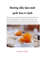 Hướng dẫn làm mứt quất hoa 6 cánh pptx