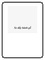 Xe đẩy bánh gỗ potx