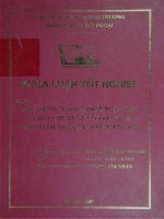 Thực trạng và giải pháp ngăn ngừa và hạn chế rủi ro tín dụng tại chi nhánh ngân hàng nông nghiệp phát triển nông thôn tỉnh Phú Thọ