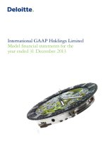 IFRS model financial statements 2013