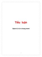 Tiểu luận: Quản trị rủi ro trong event pot