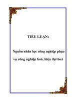 TIỂU LUẬN: Nguồn nhân lực công nghiệp phục vụ công nghiệp hoá, hiện đại hoá pot