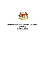 HAND FOOT AND MOUTH DISEASE (HFMD) GUIDELINES pptx