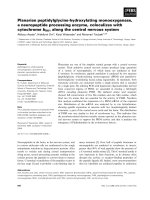 Báo cáo khoa học: Planarian peptidylglycine-hydroxylating monooxygenase, a neuropeptide processing enzyme, colocalizes with cytochrome b561 along the central nervous system pptx