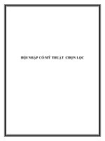 HỘI NHẬP CÓ MỸ THUẬT CHỌN LỌC pdf