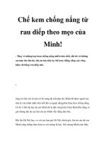 Chế kem chống nắng từ rau diếp theo mẹo của Minh ppt