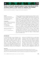 Báo cáo khoa học: Purine nucleoside phosphorylases from hyperthermophilic Archaea require a CXC motif for stability and folding pot