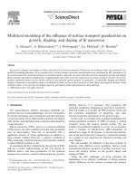 Multilevel modeling of the influence of surface transport peculiarities on growth, shaping, and doping of si nanowires