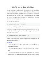 Xóa file tạm tự động trên Linux doc