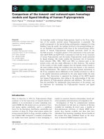 Báo cáo khoa học: Comparison of the inward- and outward-open homology models and ligand binding of human P-glycoprotein potx