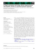 Báo cáo khoa học: A single intersubunit salt bridge affects oligomerization and catalytic activity in a bacterial quinone reductase pptx