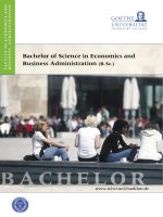 Bachelor of Science in Economics and Business Administration (B.Sc.) docx