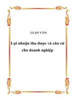 LUẬN VĂN: Lợi nhuận thu được và căn cứ cho doanh nghiệp docx