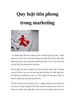 Quy luật tiên phong trong marketing doc