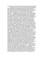 a comparison and contrast in both as worn by hester and dimm