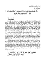 Báo cáo hiên trạng môi trường tại tỉnh Cao Bằng năm 2010 đến năm 2013 pdf