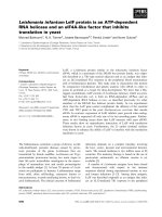 Báo cáo khoa học: Leishmania infantum LeIF protein is an ATP-dependent RNA helicase and an eIF4A-like factor that inhibits translation in yeast docx