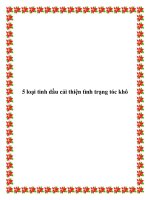 5 loại tinh dầu cải thiện tình trạng tóc khô docx